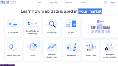 brightdata review